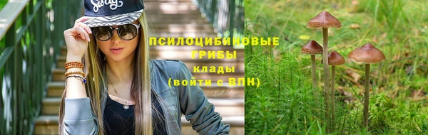 дживик Абинск