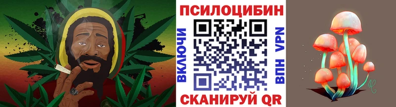 KRAKEN вход  Нижнекамск  Галлюциногенные грибы GOLDEN TEACHER 