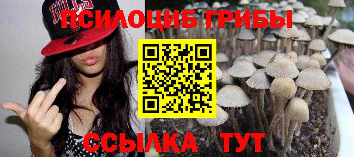 Псилоцибиновые грибы Psilocybe Нижнекамск
